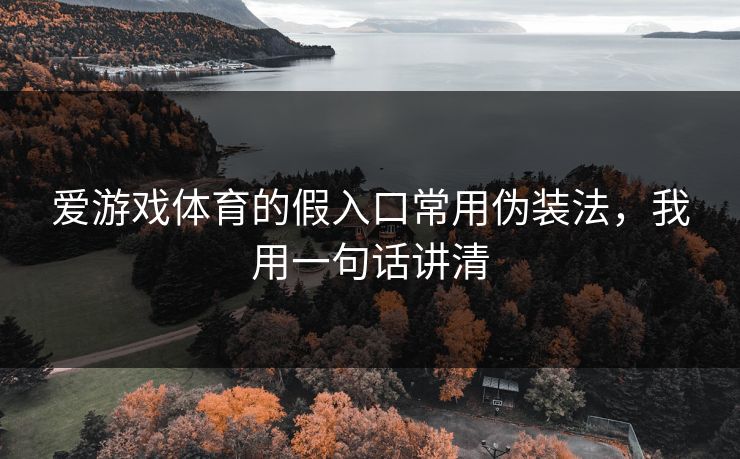 爱游戏体育的假入口常用伪装法，我用一句话讲清