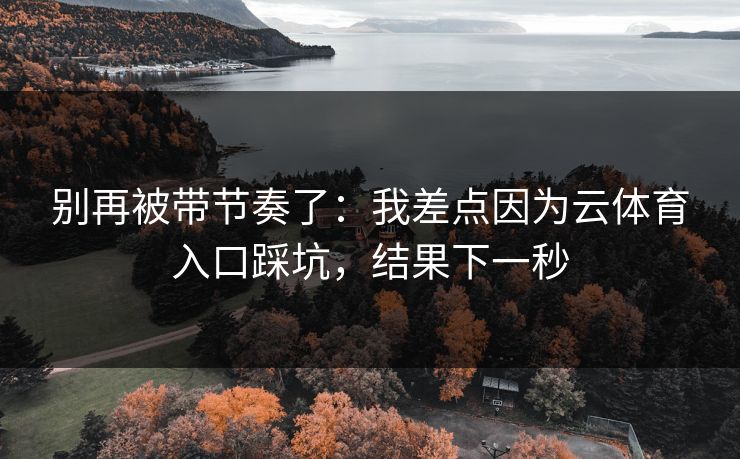 别再被带节奏了：我差点因为云体育入口踩坑，结果下一秒
